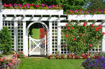 Arbor Replacement in Kansas City, KS