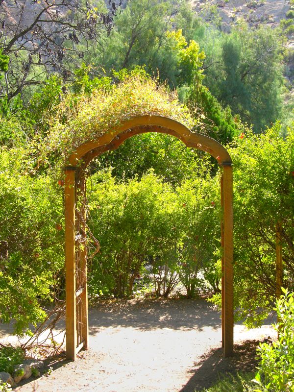 Arched Arbor Construction in Spring