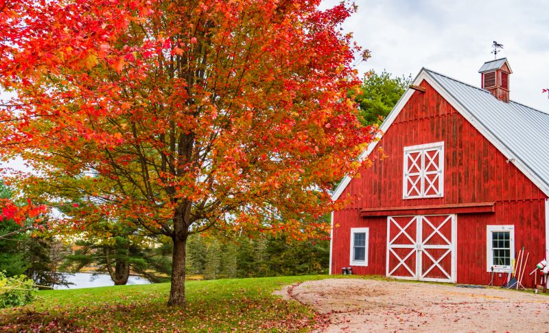 Barn Renovation in Overland Park, KS