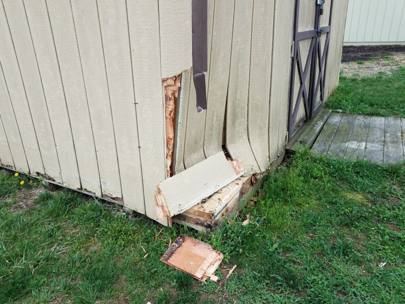 Shed Roof Repair in Conroe, TX