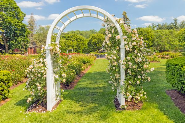 Arched Trellis Installation