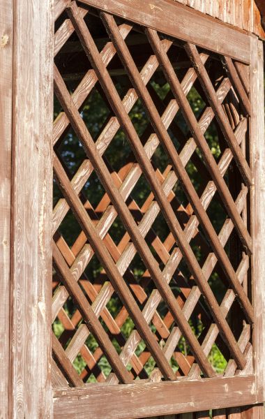 Lattice Arbor Construction