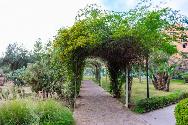 Arched Trellis Mounting