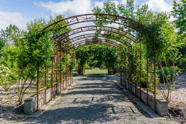 Arched Trellis Assembly